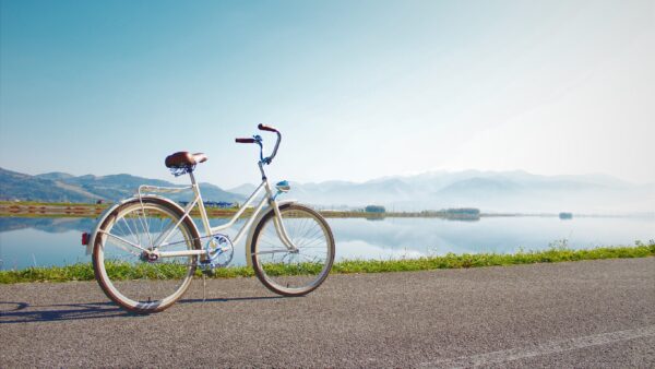 Bicycle - Image 3